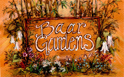 Baar Gardens plants, their scientific names, common names and description